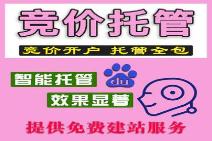 创新营销策略：专业SEM托管的成功故事